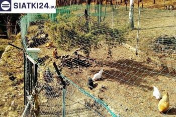 Siatki Dabrowa Górnicza - Siatka na woliery - zabezpieczenia ptaków w hodowli dla terenów Dąbrowy Górniczej